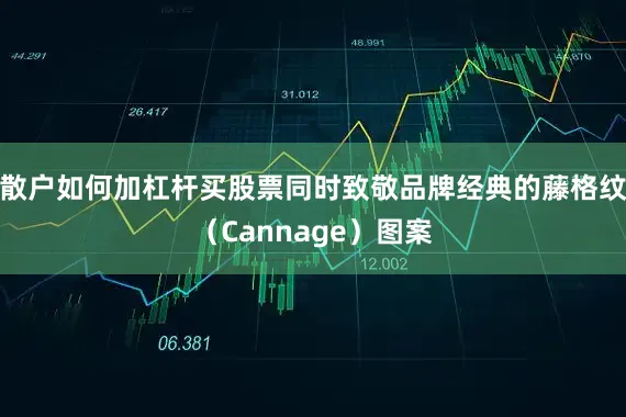 散户如何加杠杆买股票同时致敬品牌经典的藤格纹（Cannage）图案