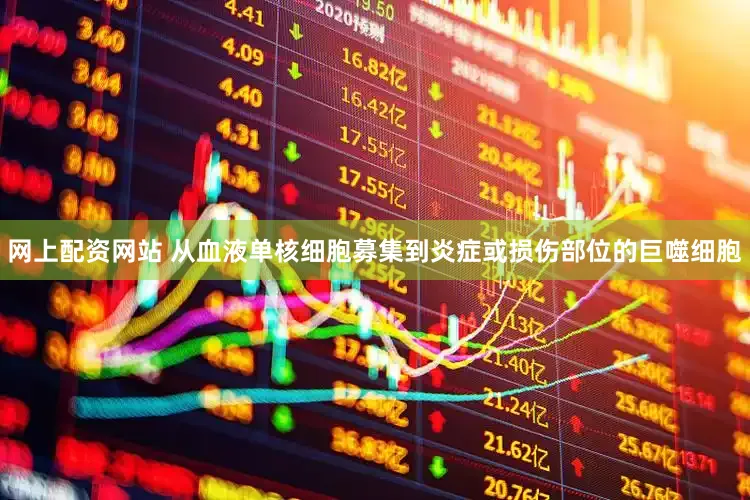 网上配资网站 从血液单核细胞募集到炎症或损伤部位的巨噬细胞
