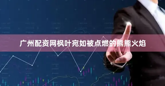 广州配资网枫叶宛如被点燃的熊熊火焰